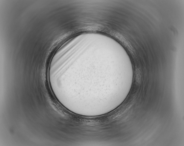 X0000111000486200907171816