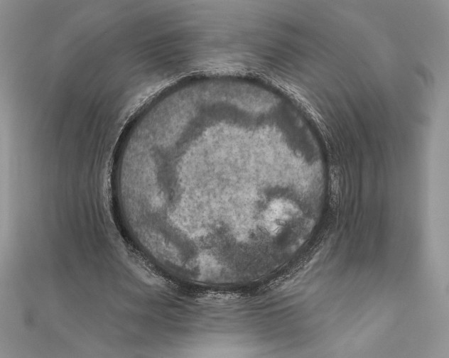 X0000111000487200907171816