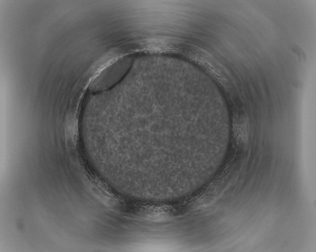 X0000111000488200907171816