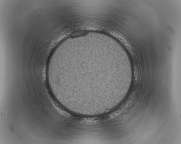 X0000111000489200907171816