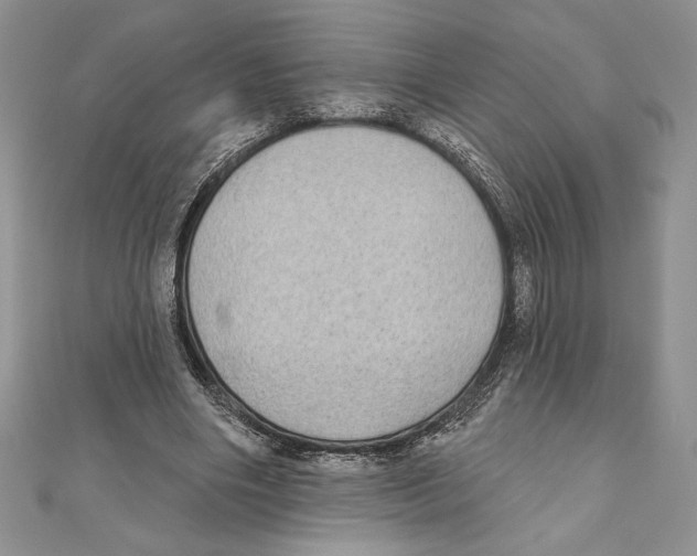 X0000111000490200907171816