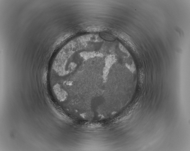 X0000111000491200907171816