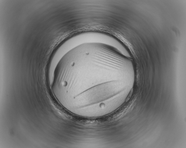 X0000111000493200907171816