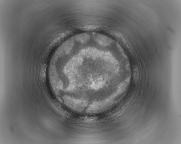 X0000111000495200907171816