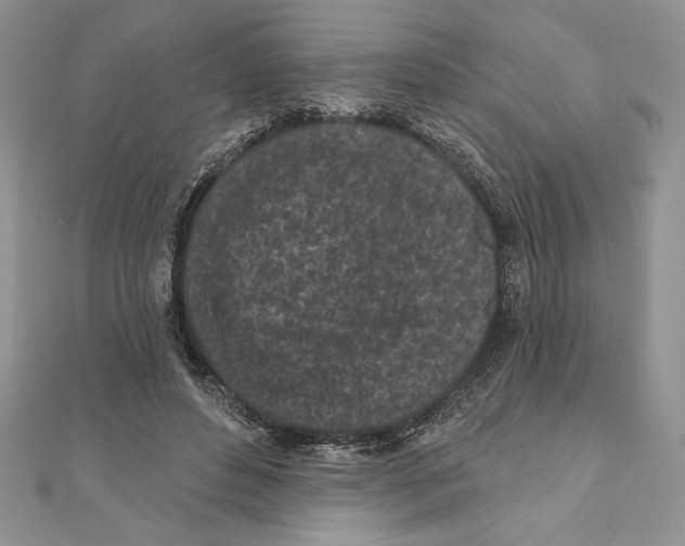 X0000111000496200907171816