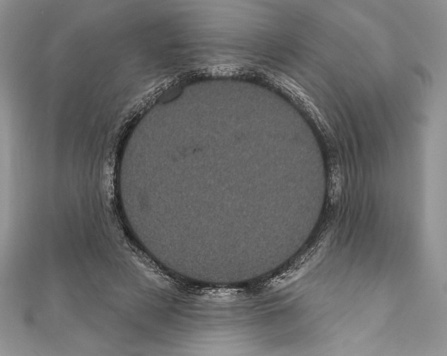 X0000111000497200907171816