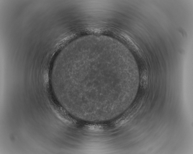 X0000111000500200907171816