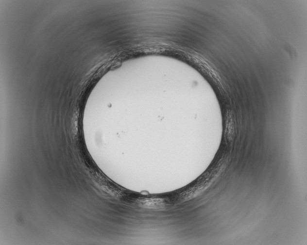 X0000111000501200907171816