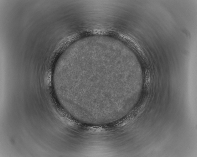 X0000111000502200907171816