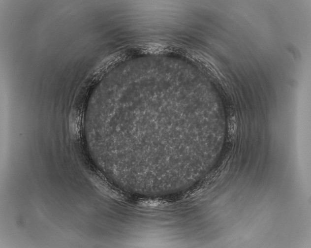 X0000111000503200907171816