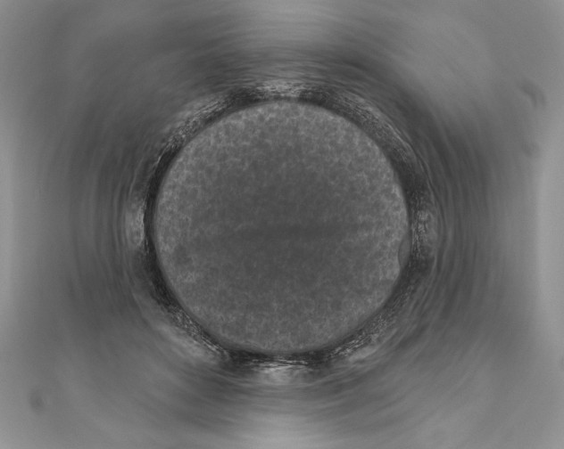 X0000111000504200907171816