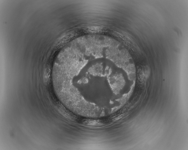 X0000111000507200907171816