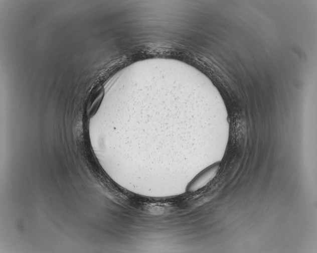 X0000111000508200907171816