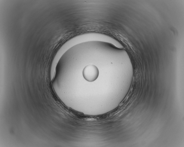 X0000111000509200907171816