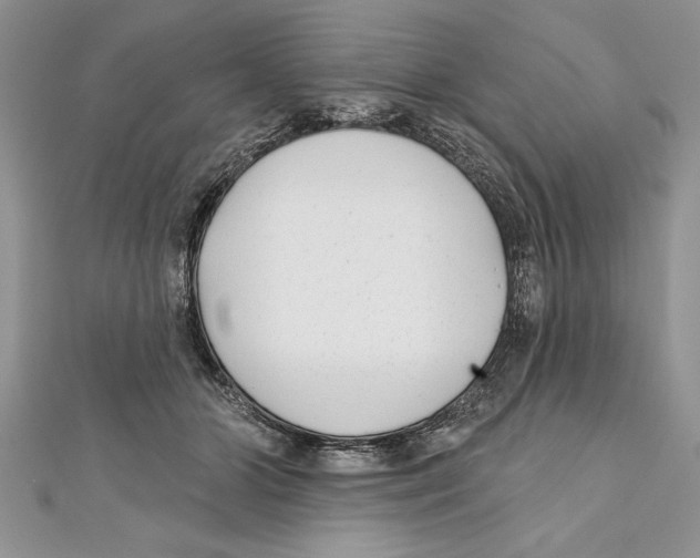 X0000111000510200907171816