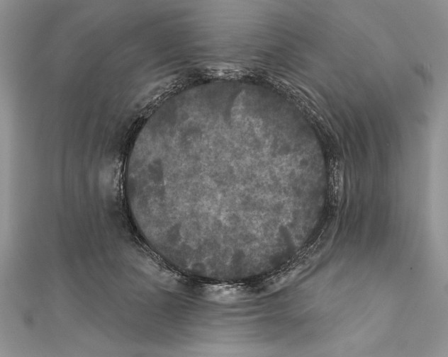 X0000111000511200907171816