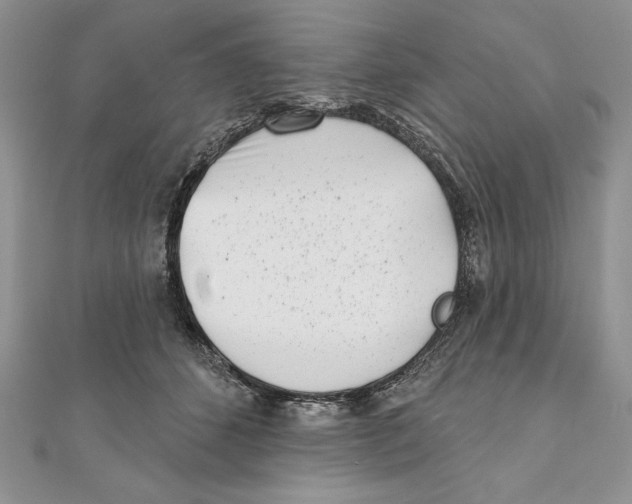 X0000111000512200907171816