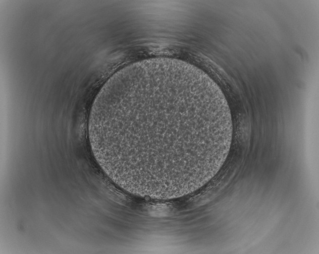 X0000111000513200907171816