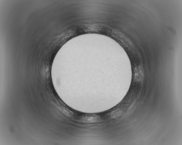 X0000111000514200907171816