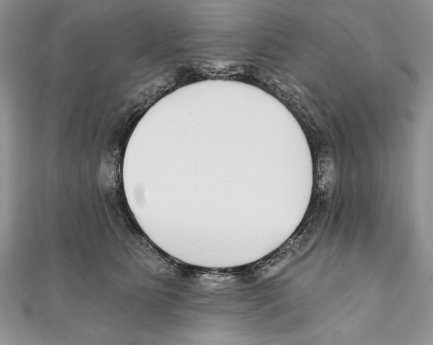 X0000111000515200907171816