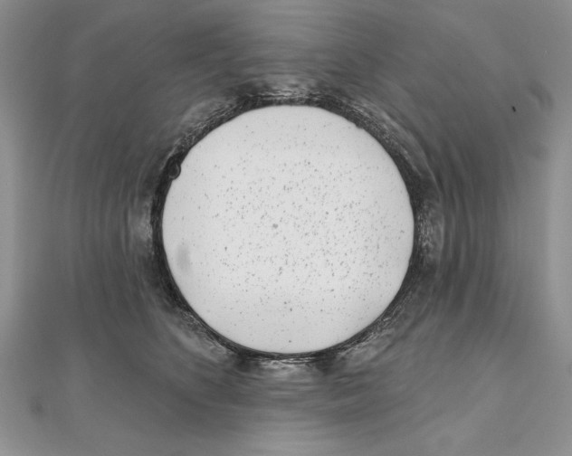 X0000111000516200907171816