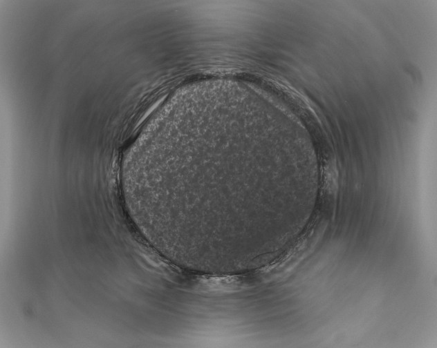 X0000111000517200907171816