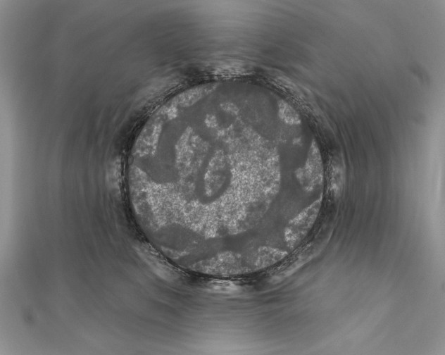 X0000111000519200907171816