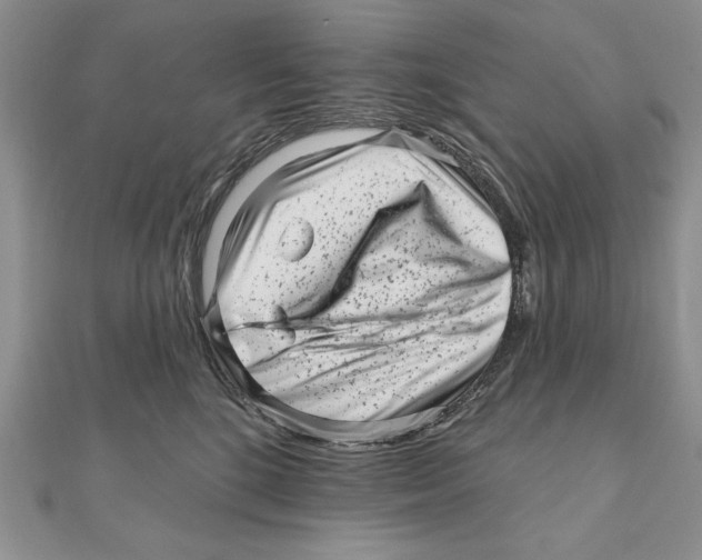 X0000111000520200907171816