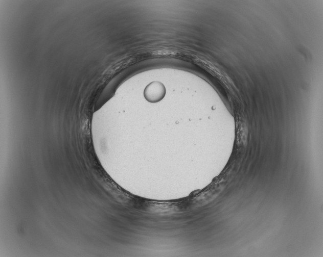 X0000111000521200907171816