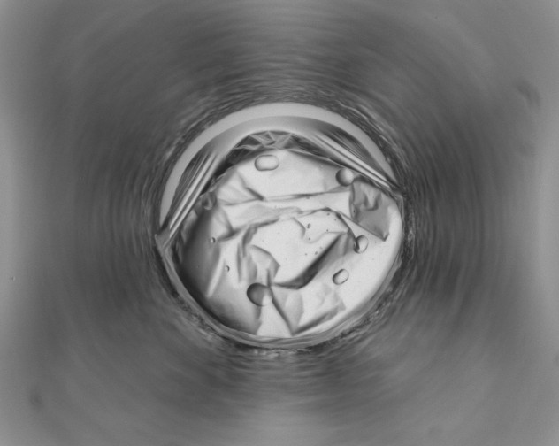 X0000111000524200907171816