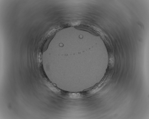 X0000111000525200907171816