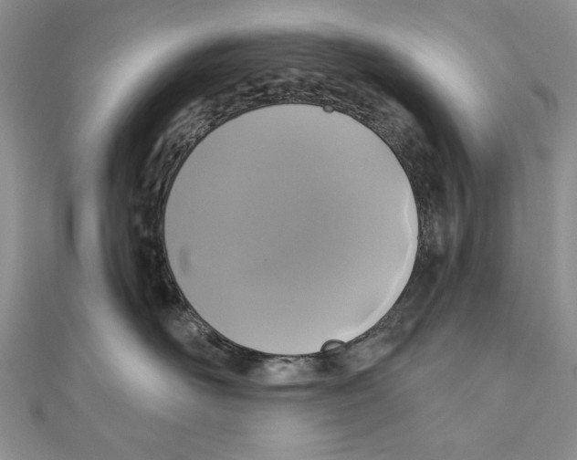 X0000111000526200907171816