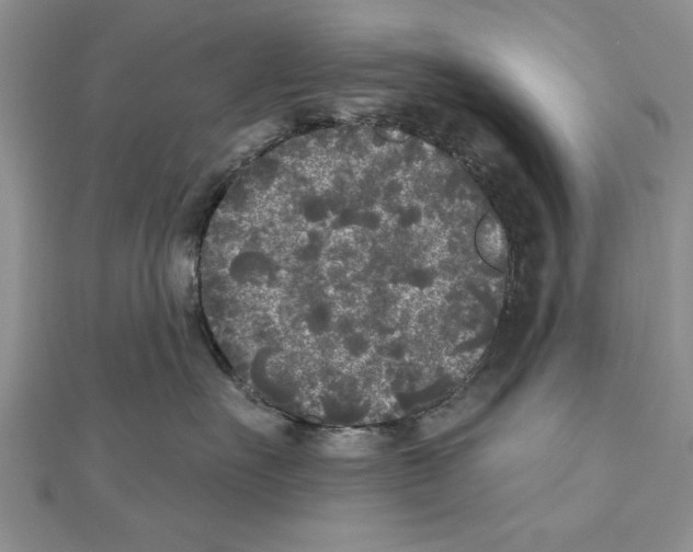 X0000111000527200907171816