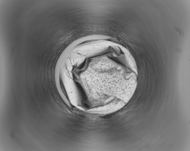 X0000111000528200907171816