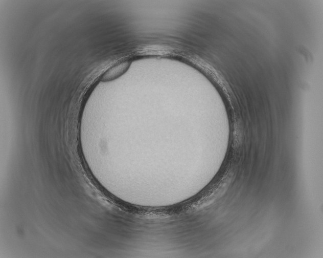 X0000111000529200907171815