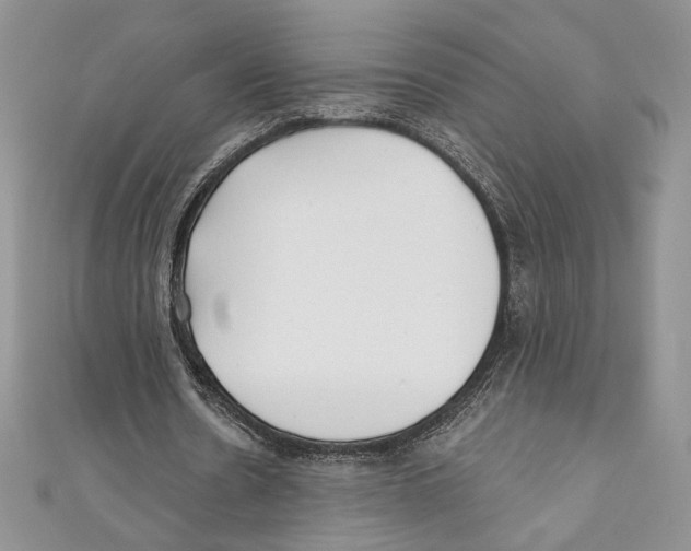 X0000111000530200907171815