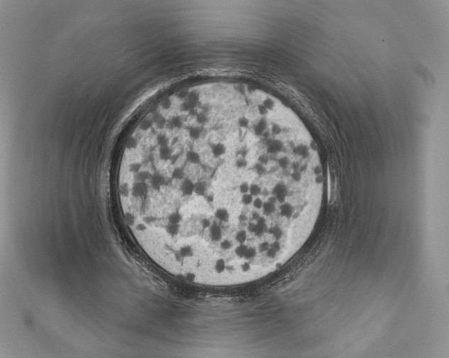 X0000111000531200907171815