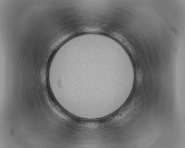 X0000111000533200907171815