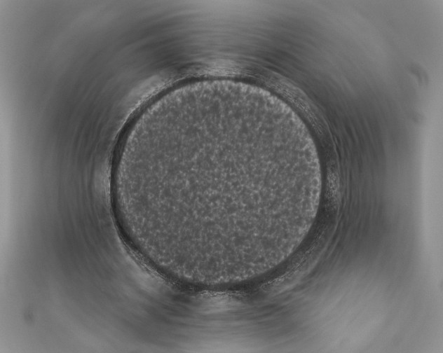 X0000111000534200907171815