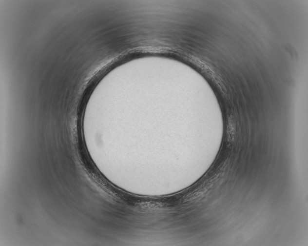 X0000111000535200907171815