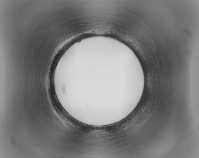 X0000111000536200907171815