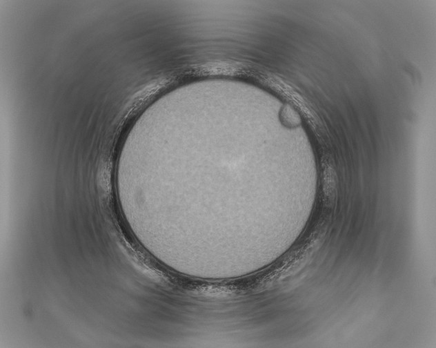 X0000111000537200907171815