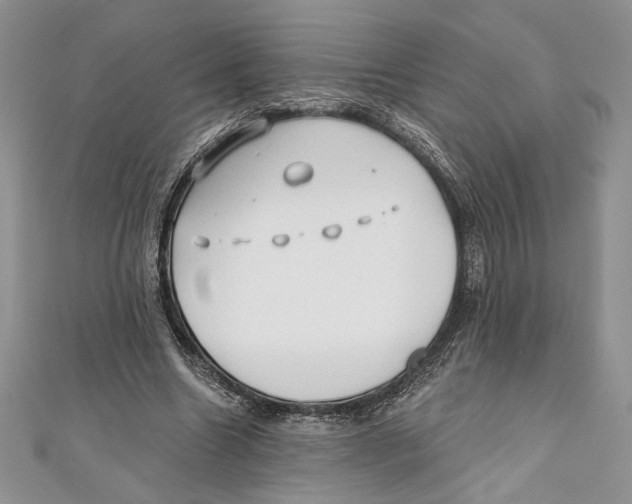 X0000111000538200907171815