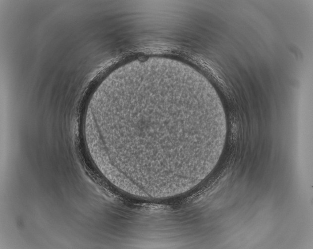 X0000111000539200907171815