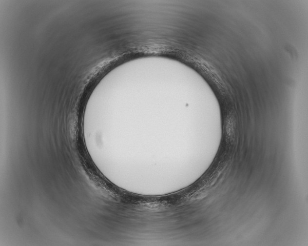 X0000111000540200907171815