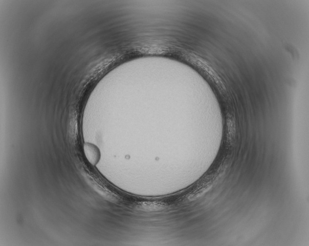 X0000111000541200907171815