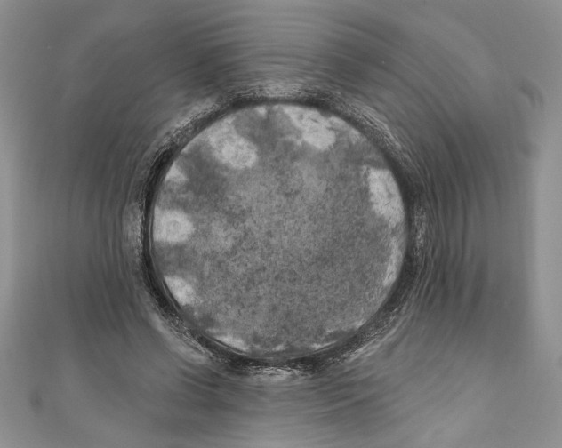 X0000111000542200907171815