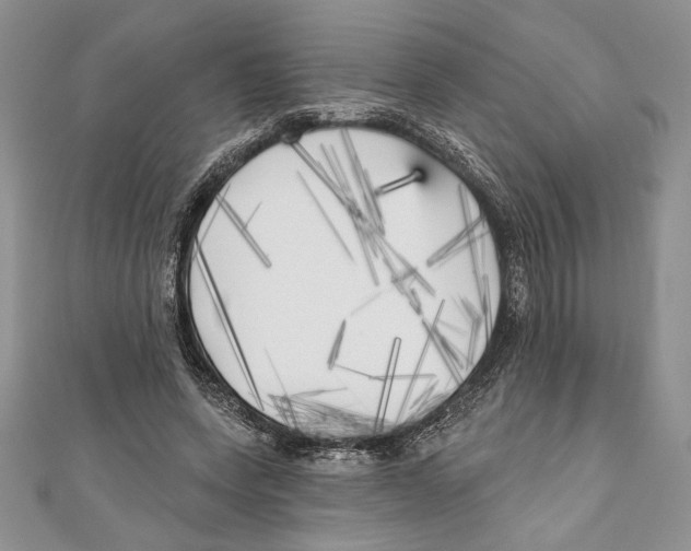 X0000111000543200907171816