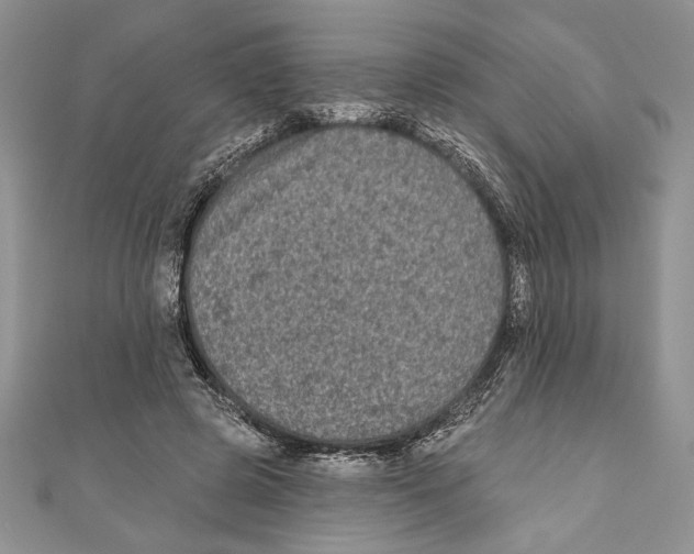 X0000111000545200907171816