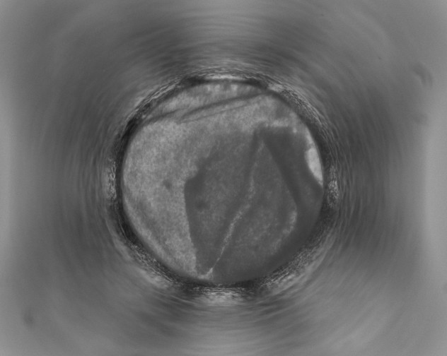 X0000111000547200907171816